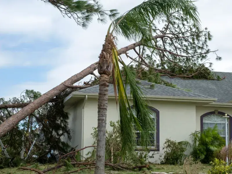 Roof Damage Purchase service in Columbus